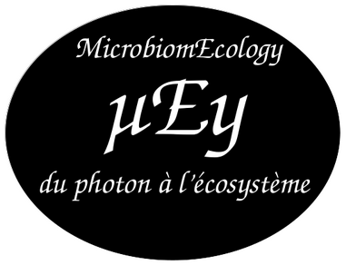 logo_microbiomecology_c.bernarde